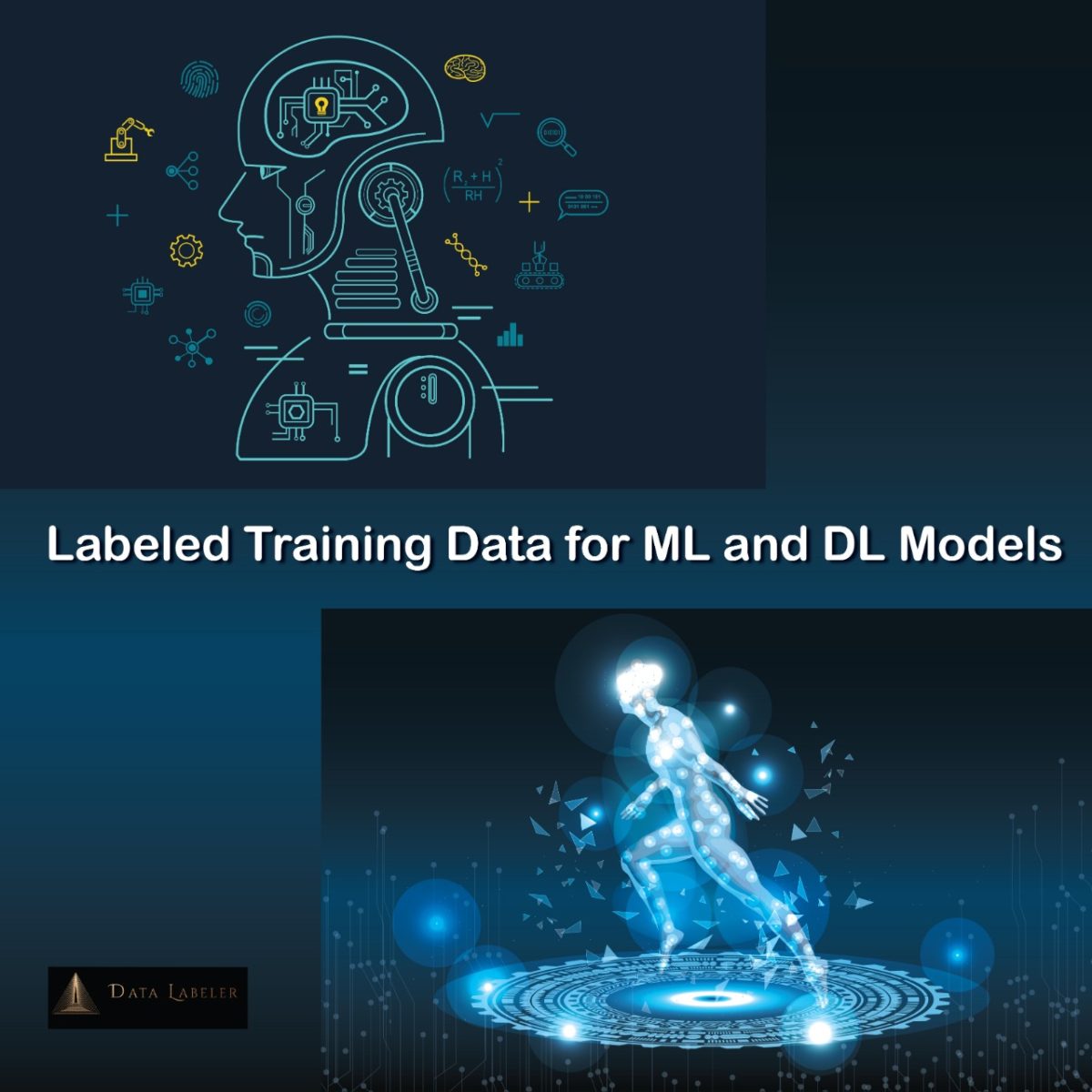 Training Data