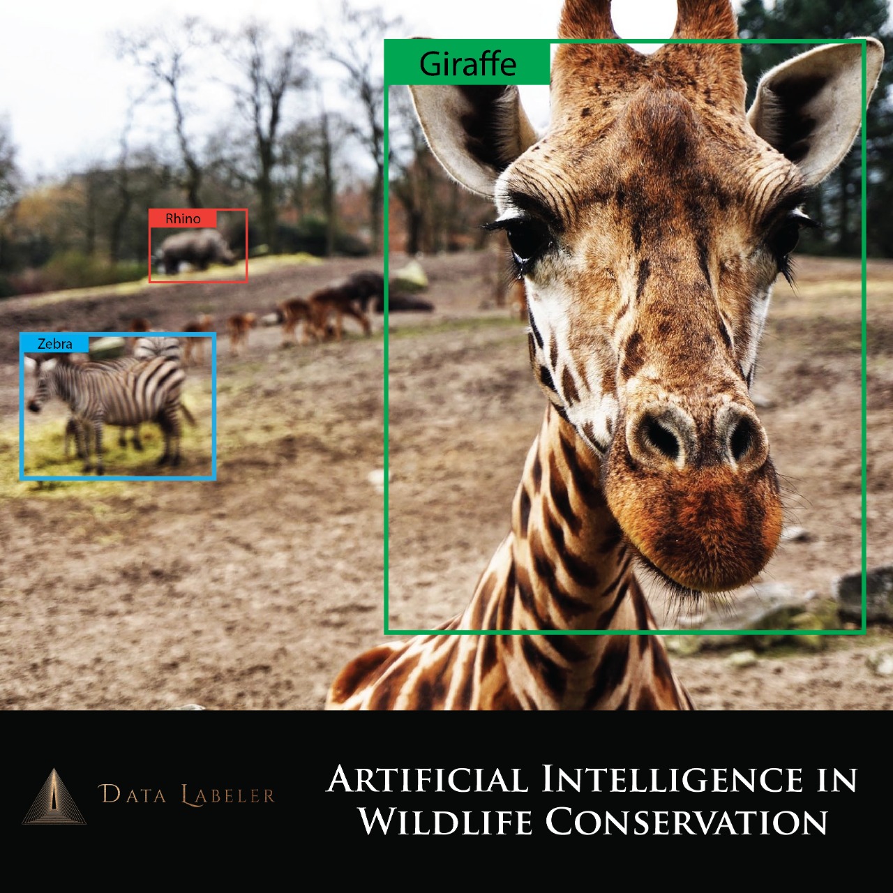 Artificial Intelligence for Wildlife Conservation