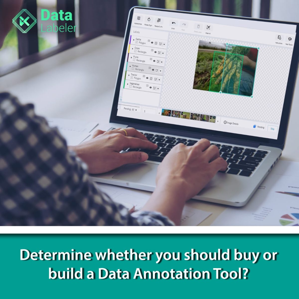 Data annotation